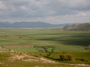 fotografija polje