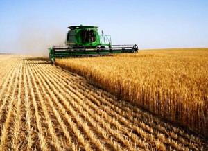 wheat-harvester-969x650