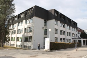 IMG_8584